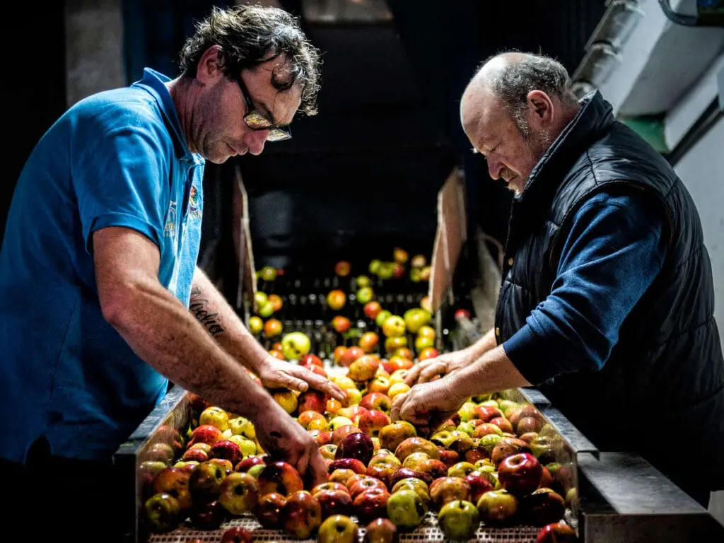 sidra Asturias Patrimonio Humanidad
