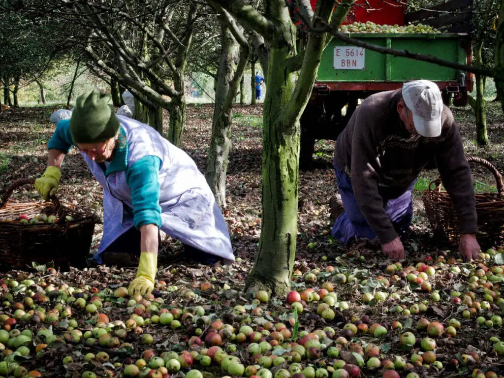 sidra Asturias Patrimonio Humanidad