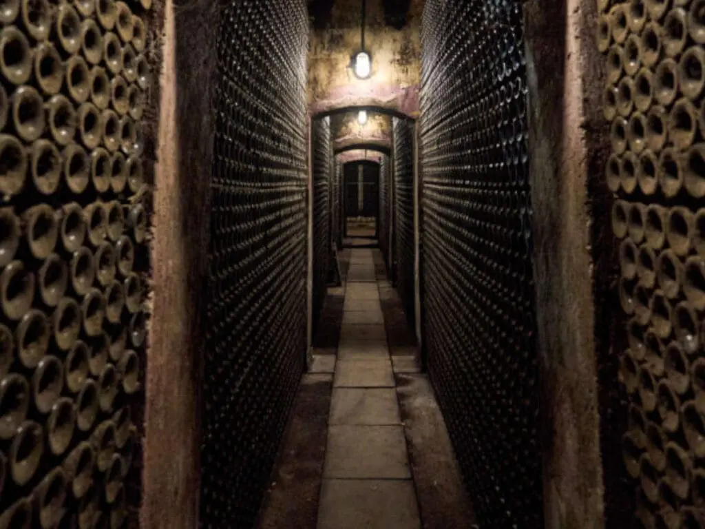 bus vino Somontano-bodegas pirineos