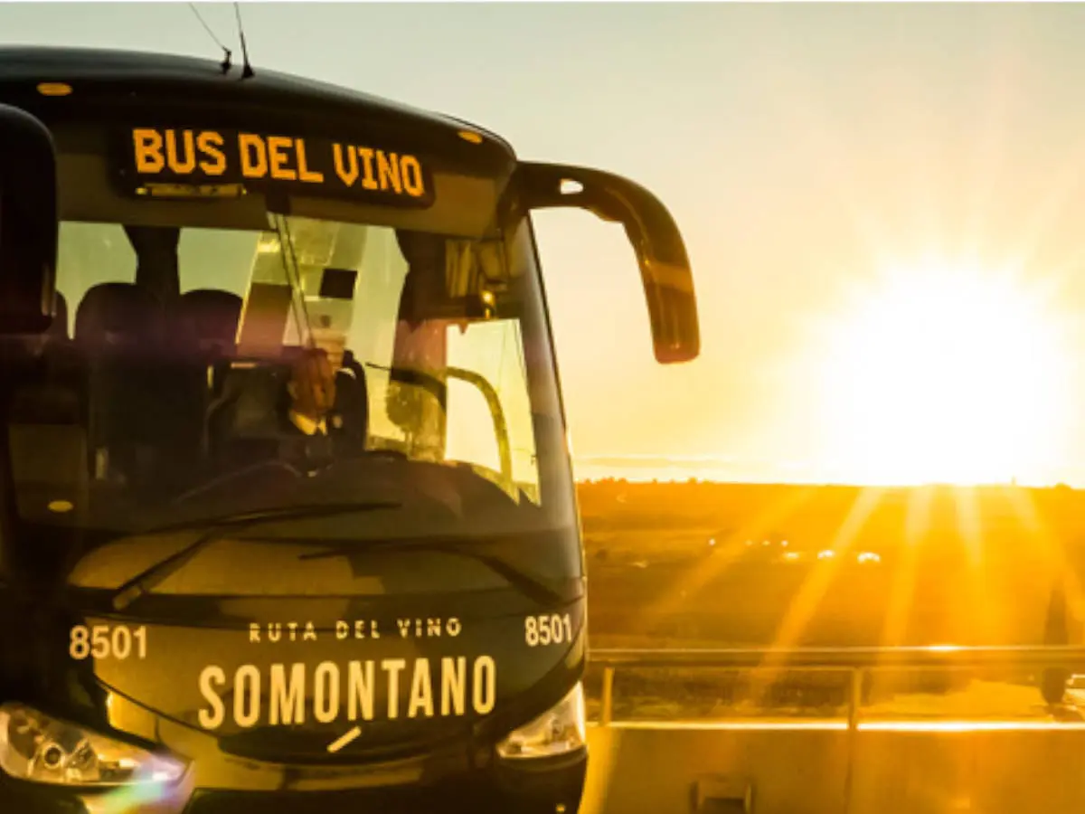 Las 10 rutas del Bus del Vino Somontano en 2025