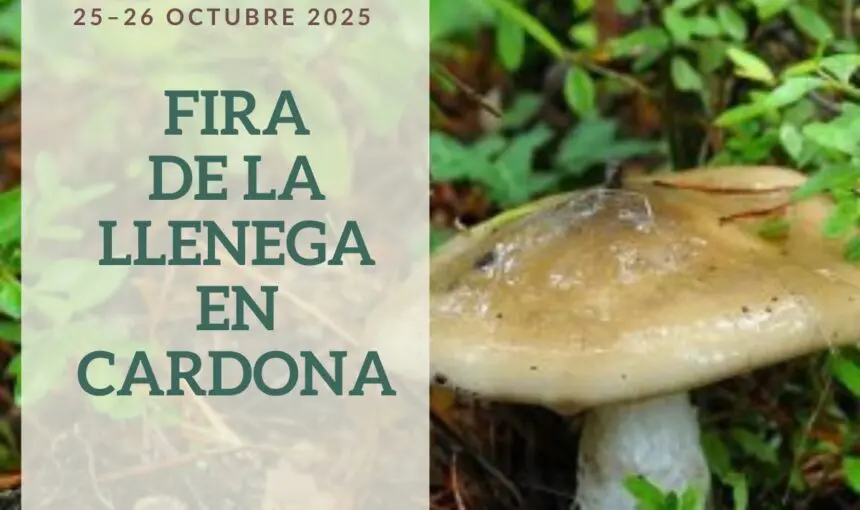 Fira de la Llenega en Cardona