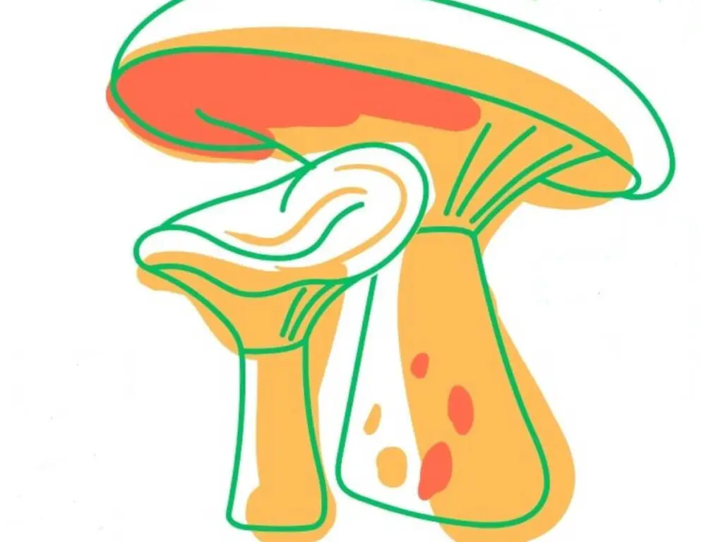 Fira Bolet Pobla Lillet