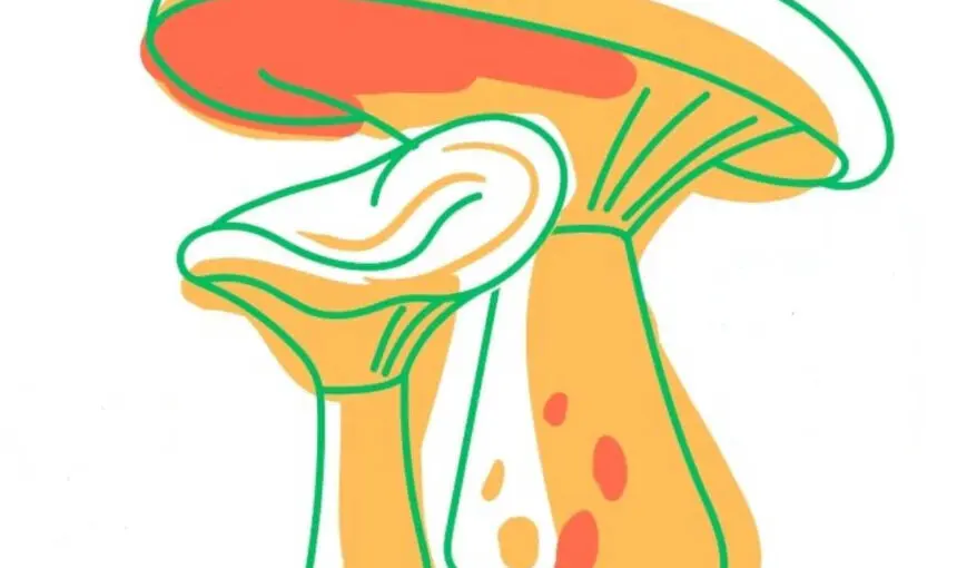 Fira del Bolet i del Boletaire en Berga