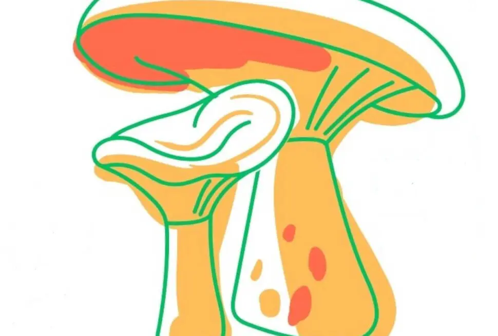 Fira Bolet Pobla Lillet