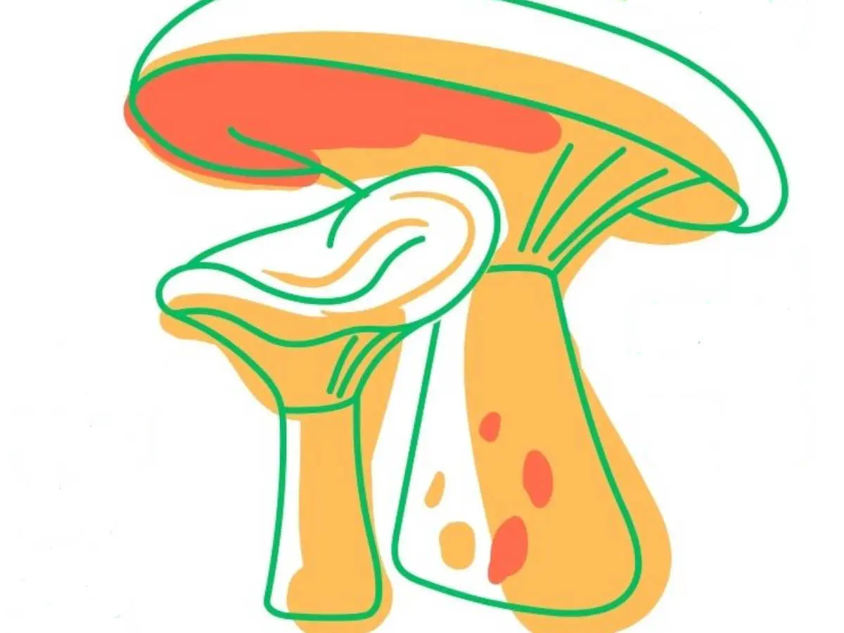 Fira Bolet Pobla Lillet