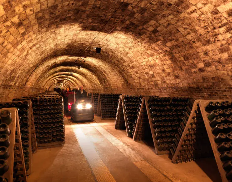 codorniu visita guiada