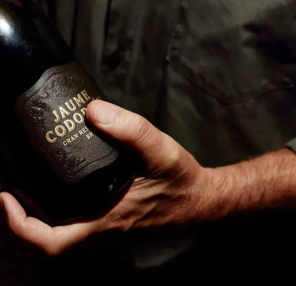 codorniu visita guiada