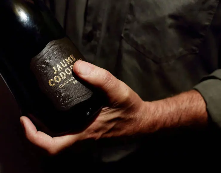 codorniu visita guiada