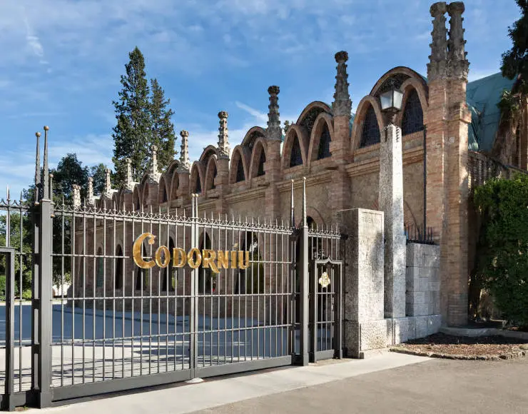 codorniu visita guiada