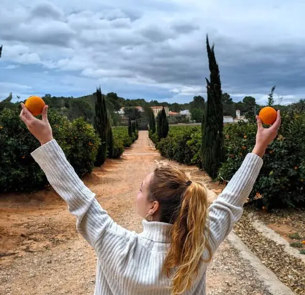 tour huerto naranjos valencia