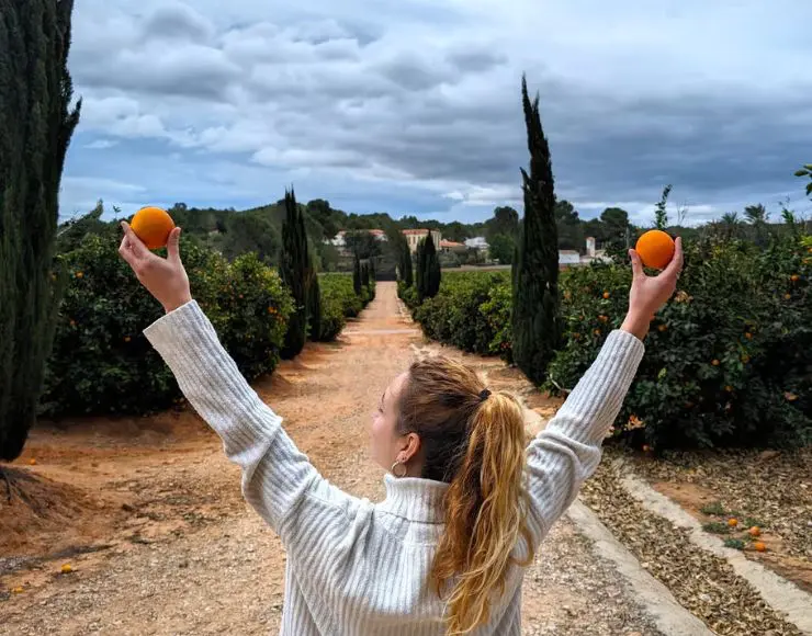 tour huerto naranjos valencia