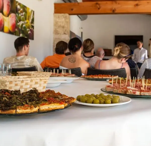 visita y olivar cata de aceite en Mallorca