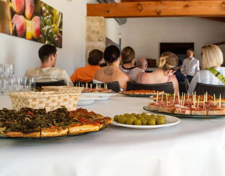 visita y olivar cata de aceite en Mallorca