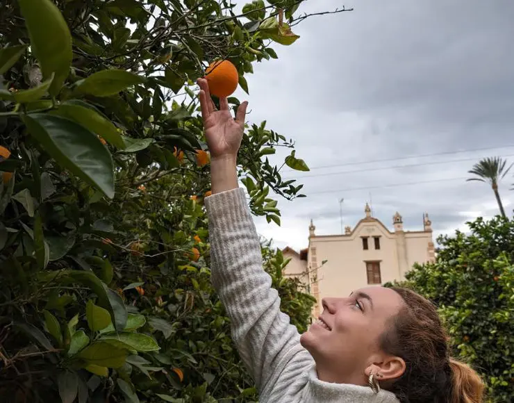 tour huerto naranjos valencia