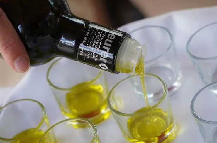 cata olivar mallorca