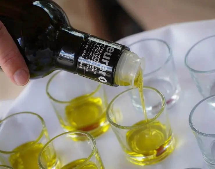 cata olivar mallorca