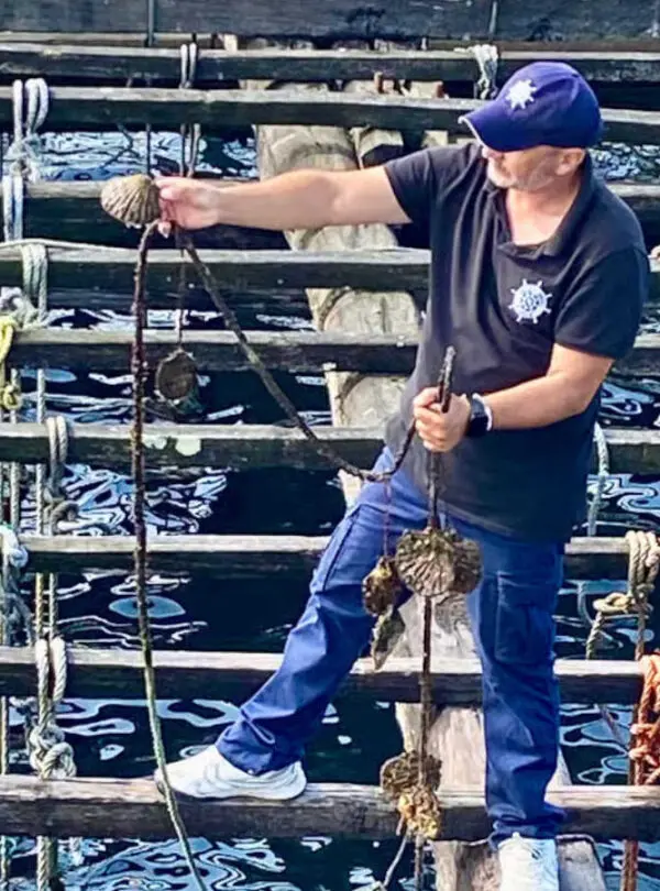 Barco o grove mejillones-1