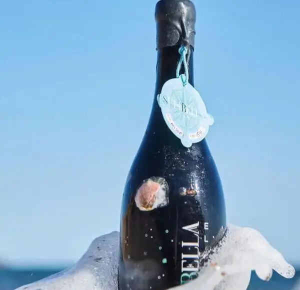 Cata submarina Mazarrón (2)