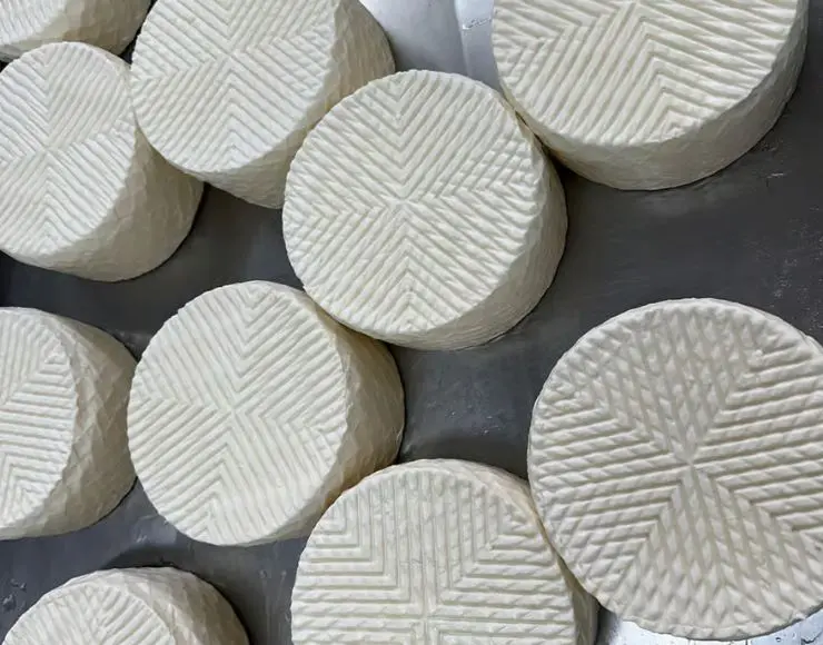 Taller queso Fuerteventura