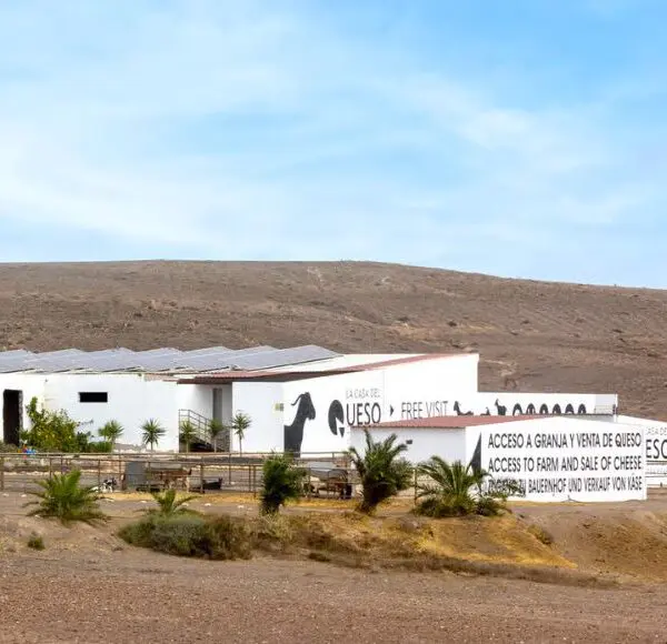 Taller queso Fuerteventura