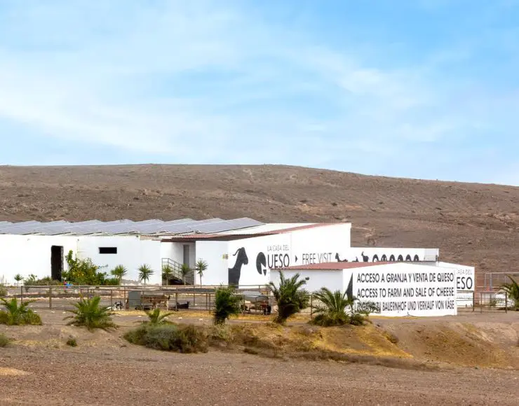 Taller queso Fuerteventura