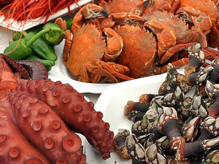 fiesta marisco o grove-3