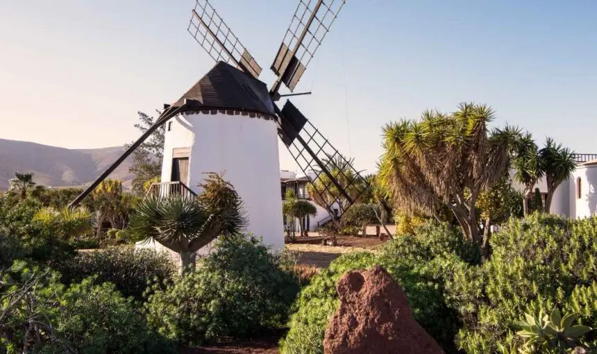 Sabores que hablan de Fuerteventura