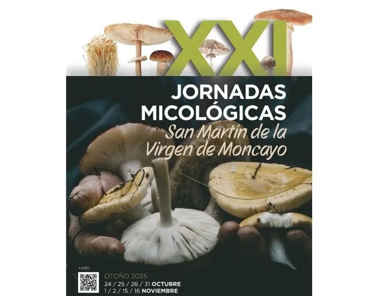 San Martín de la Virgen del Moncayo (Zaragoza)