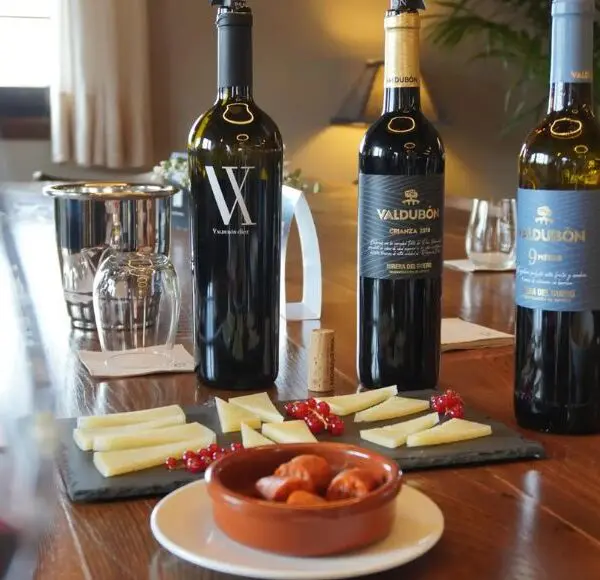 Aranda de Duero Bodegas Valdubón