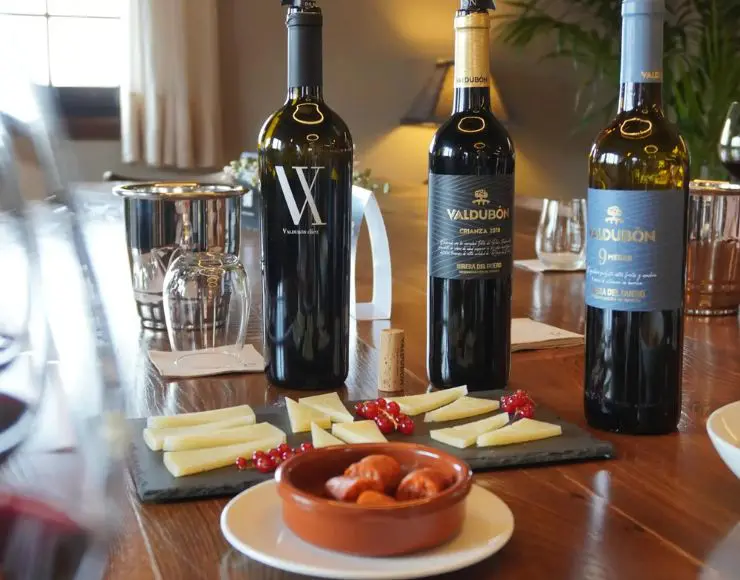 Aranda de Duero Bodegas Valdubón