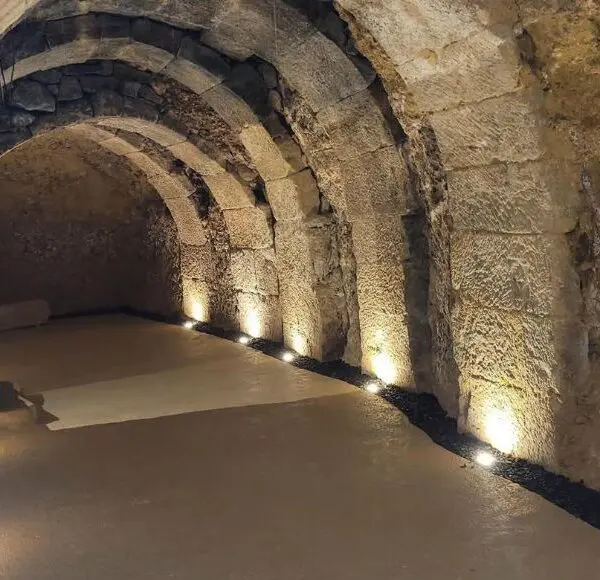 Laguardia bodegas 1808