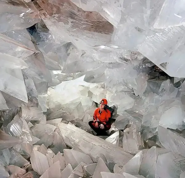 Oleo Almanzora visita guiada