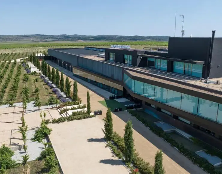 bodegas habla caceres