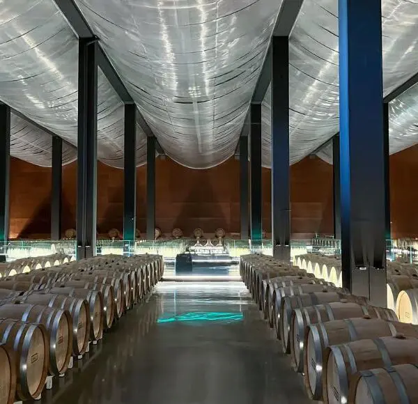 bodegas habla caceres