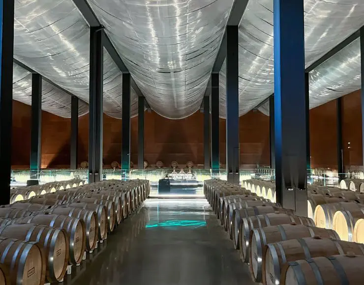 bodegas habla caceres