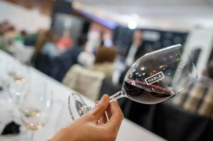 bodegas habla caceres