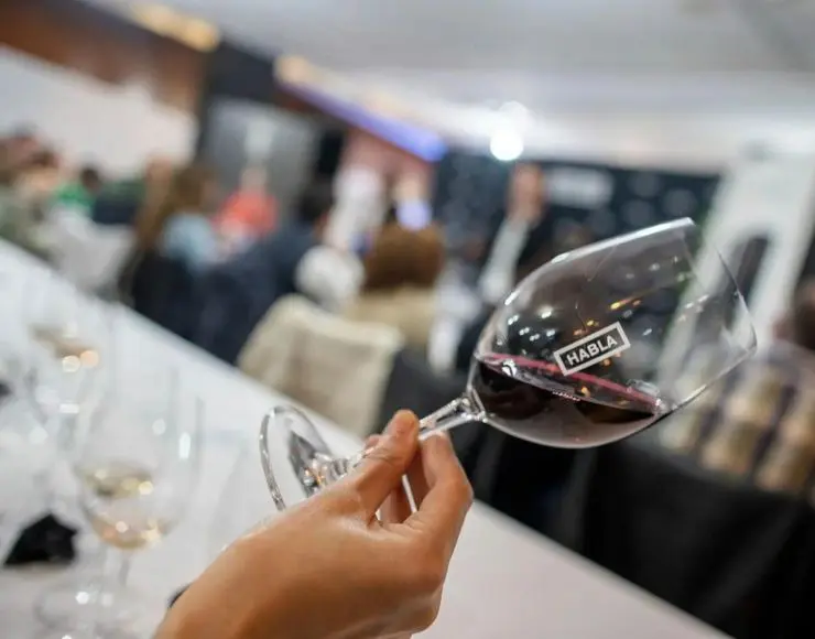 bodegas habla caceres