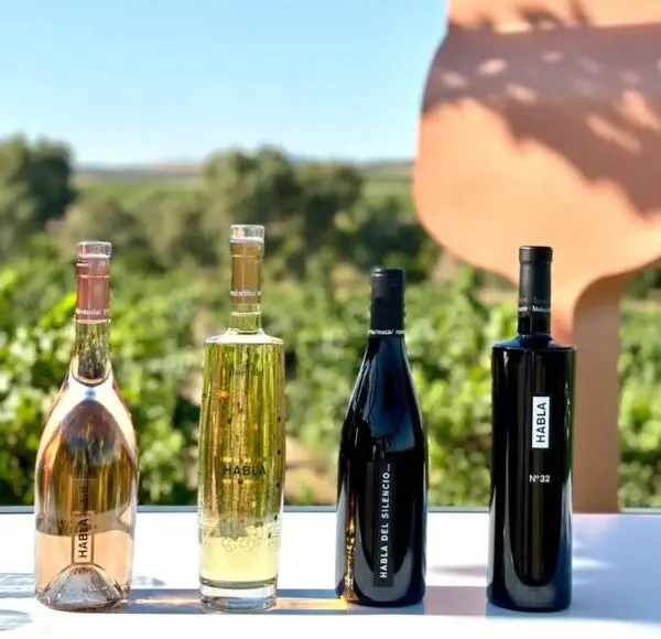 bodegas habla caceres