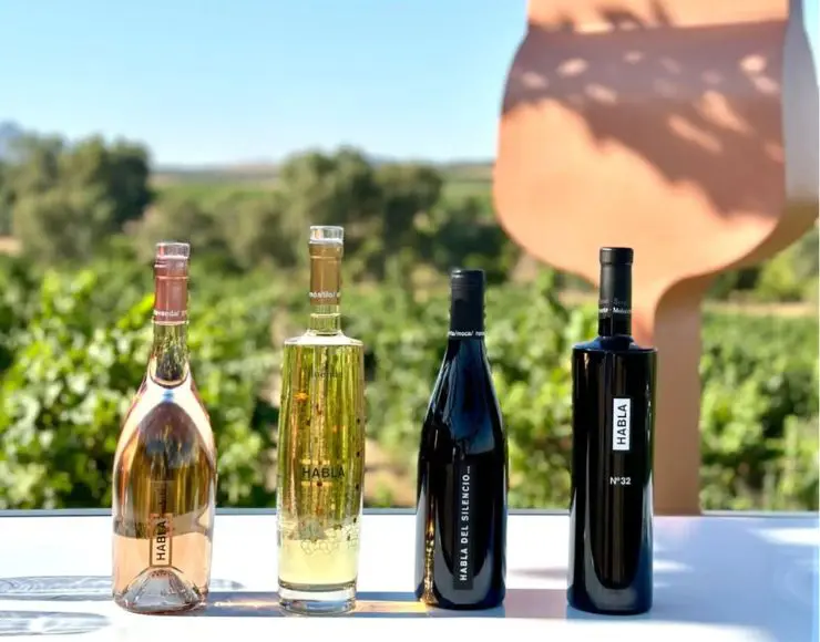 bodegas habla caceres