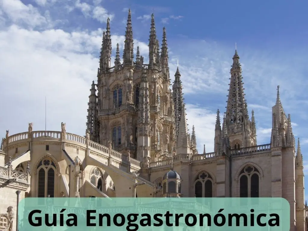 guia enogastronomica Burgos