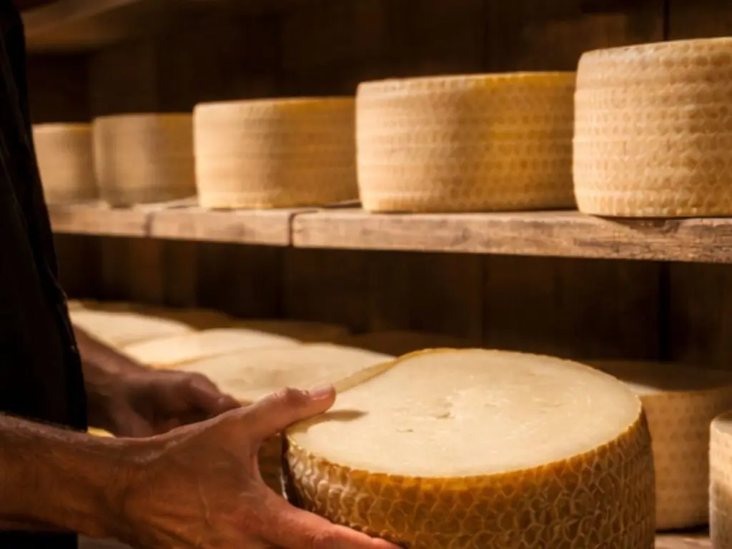 DO-queso-manchego (1)