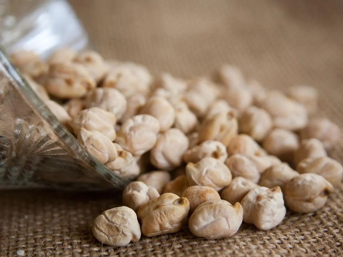 Garbanzos Madrid Identidad Producto