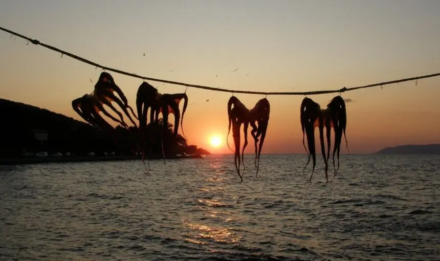 Pulpo seco de Almería, memoria marinera