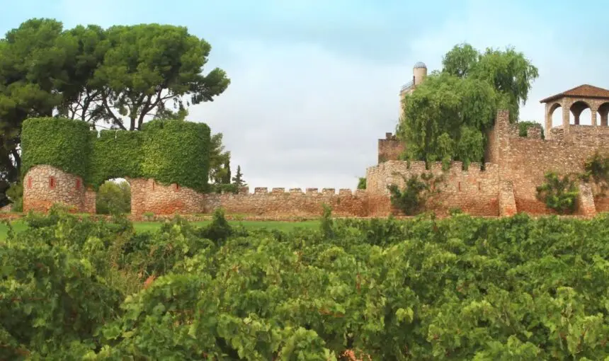 DO Penedès: el sabor que define a Barcelona y Tarragona