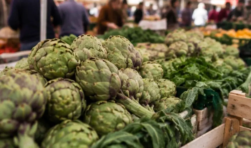 Alcachofa de Benicarló: tradición, paisaje y sabor en Castellón