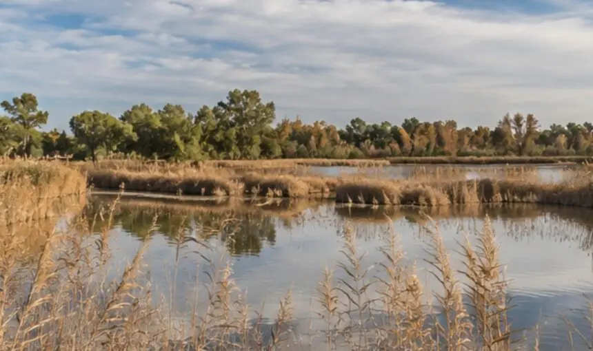 Daimiel: entre humedales y viñedos