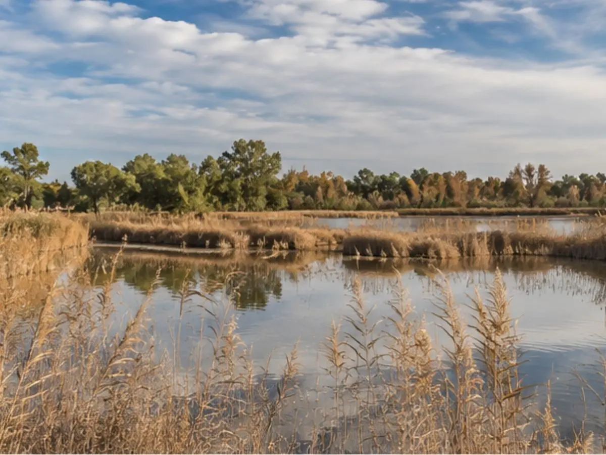 Daimiel
