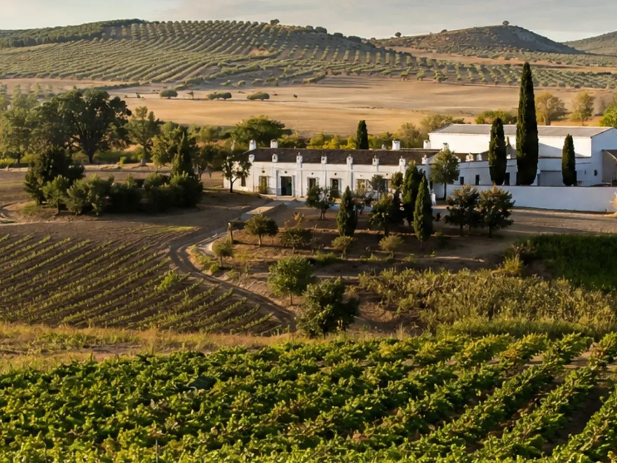 Montilla-Moriles