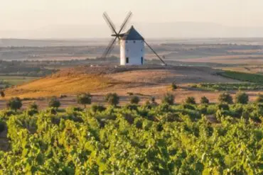 vino-la-mancha