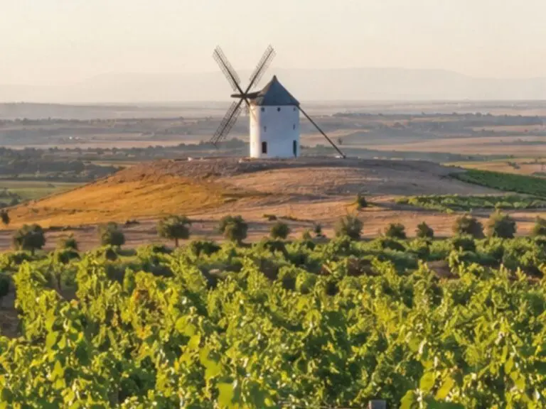 vino-la-mancha